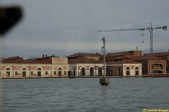 Venice kite festival_0254